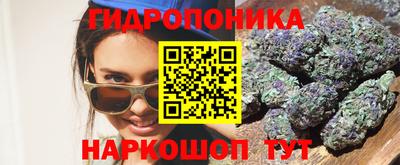 прущие грибы Балаково
