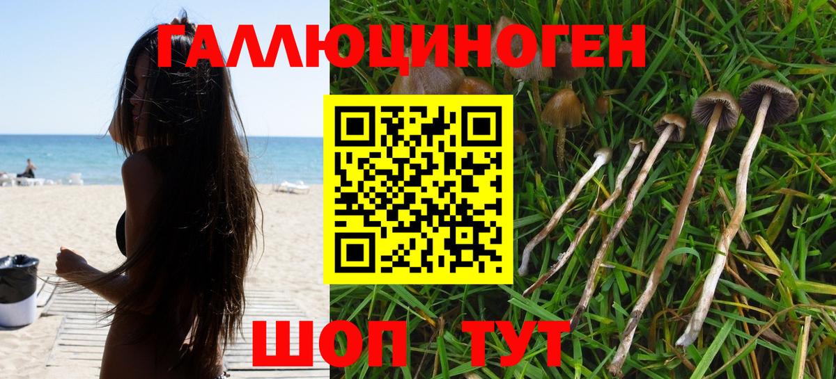 наркотики  Вход с VPN  Галлюциногенные грибы Cubensis  Вязьма  Галлюциногенные грибы Psilocybine cubensis 